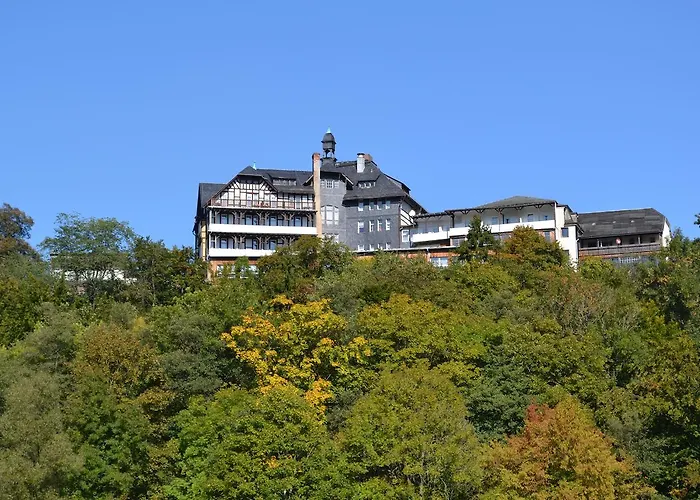 Weisser Hirsch Hotel 3*