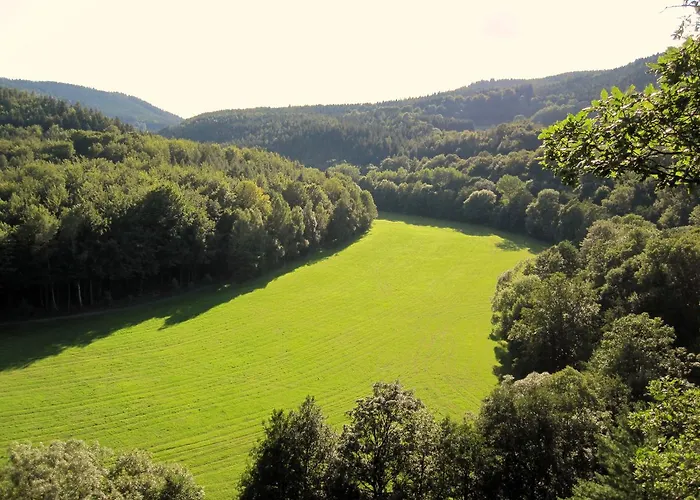 Hotel Weisser Hirsch